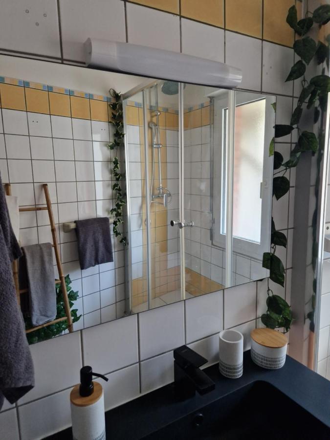 Antoine, Madamedemconciergerie Apartment Реймс Екстериор снимка